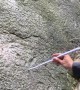 Early Jurassic era dinosaur footprints discovered by hiker in Chongqing