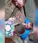 Aww – Big Brothers Try to Teach Baby Sister How to Nap
