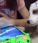 Adorable puppy just wants to play video games too