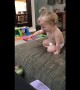 Baby girl can\'t stop laughing as she plays fetch with dog