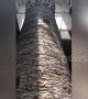 Textbooks weighing 14 tonnes built into 11-metre-high book tower in China's Xi'an