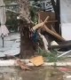 Insane aftermath footage of Halkidiki storm in Greece