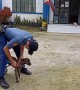 Disabled stray dog can finally walk again thanks to kind policemen who made her a wheelchair