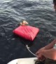 A drowning opossum is rescued by boaters