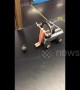 Australian science teacher makes slightly creepy device to explain pendulums