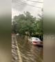 Cars left partially submerged on residential New Orleans street as Storm Barry hits