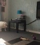 Dog uses table to scratch itch but ends up making a mess