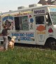 Pit Bull patiently waits in line outside ice cream truck