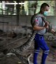 Giant python caught after swallowing Thai farmer chickens