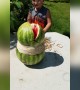 Crazy Watermelon Experiment Goes Wrong