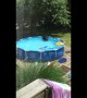 Connecticut mother catches black bear playing with toys in plastic pool