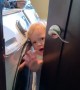 Toddler Tries to Find a Private Place