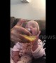 California baby really wants a drink of dad's mimosa