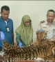 Indonesian government officials intercept package containing tiger skin at airport