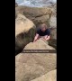 Heartwarming moment brave man dives under rocks to rescue fallen baby seal