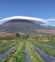 Spectacular moment long flat cloud blankets Indonesian volcano peak 'like a hat'