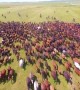 Drone footage captures thousands of horses galloping across grasslands at Xinjiang tourism festival