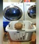 Baby Pretends to be Laundry