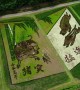 Japan rice paddy art celebrates new imperial era of Reiwa
