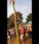 Vietnamese locals partake in hilarious banana tree climbing competition