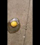 What an eggcellent way to cook during the UK heatwave! Egg fried on boiling pavement