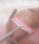 Cat Gets Groomed with a Broom