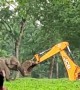 Raging mother elephant attacks excavator team rescuing her trapped baby