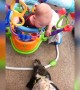 Dog Can\'t Stop Giving Baby Boy Kisses