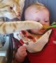 Cats and Babies