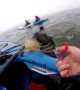 Heartwarming moment American kayaker rescues seal trapped in fishing line in Namibia
