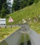 Seeing Switzerland from a Toboggan