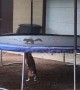 Beagle goes nuts after squirrel gets stuck on trampoline in Texas home