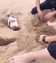 Tiny puppy joins in with his human friends digging holes on beach in China