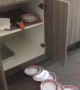 Bird Cleans out the Cupboards