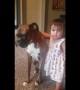Baby girl gives her boxer a loving hug