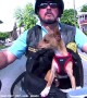 Dude and Dog Go Riding