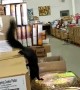 Squirrel Surprises Shopper Inside Store