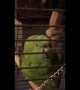 Nico the crying parrot is back! This time she’s been a 'bad bird'