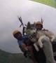 On top of the world: Siberian Husky enjoys paragliding 3,500 feet above ground in northern India