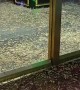 Grasshoppers Invade Casino