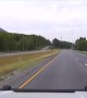 Patrol car nearly crashes into crossing moose