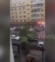 Large tree collapses onto moving car after rainstorm hits China's Changchun