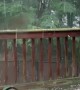 Hail Storm Smashes Decking