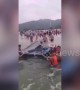 Rescuers and tourists team up to save stranded dolphin on beach in China's Yangjiang