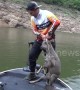 Thai fisherman rescues stranded goral that was fleeing wild dogs