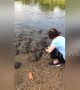 Elderly Singaporean woman calls over wild terrapins to give them back scrubs