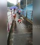 Children use pedestrian bridge as water slide during Philippines rain storm