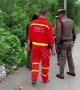 Stray dogs find lifeless abandoned baby on Thai roadside