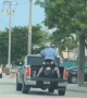Truck Transports Motorcycle with Man On It