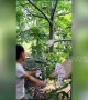 Chinese boy manages to cut fruit by flinging playing cards at them